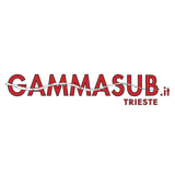 Gammasub