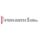 Bignami sub