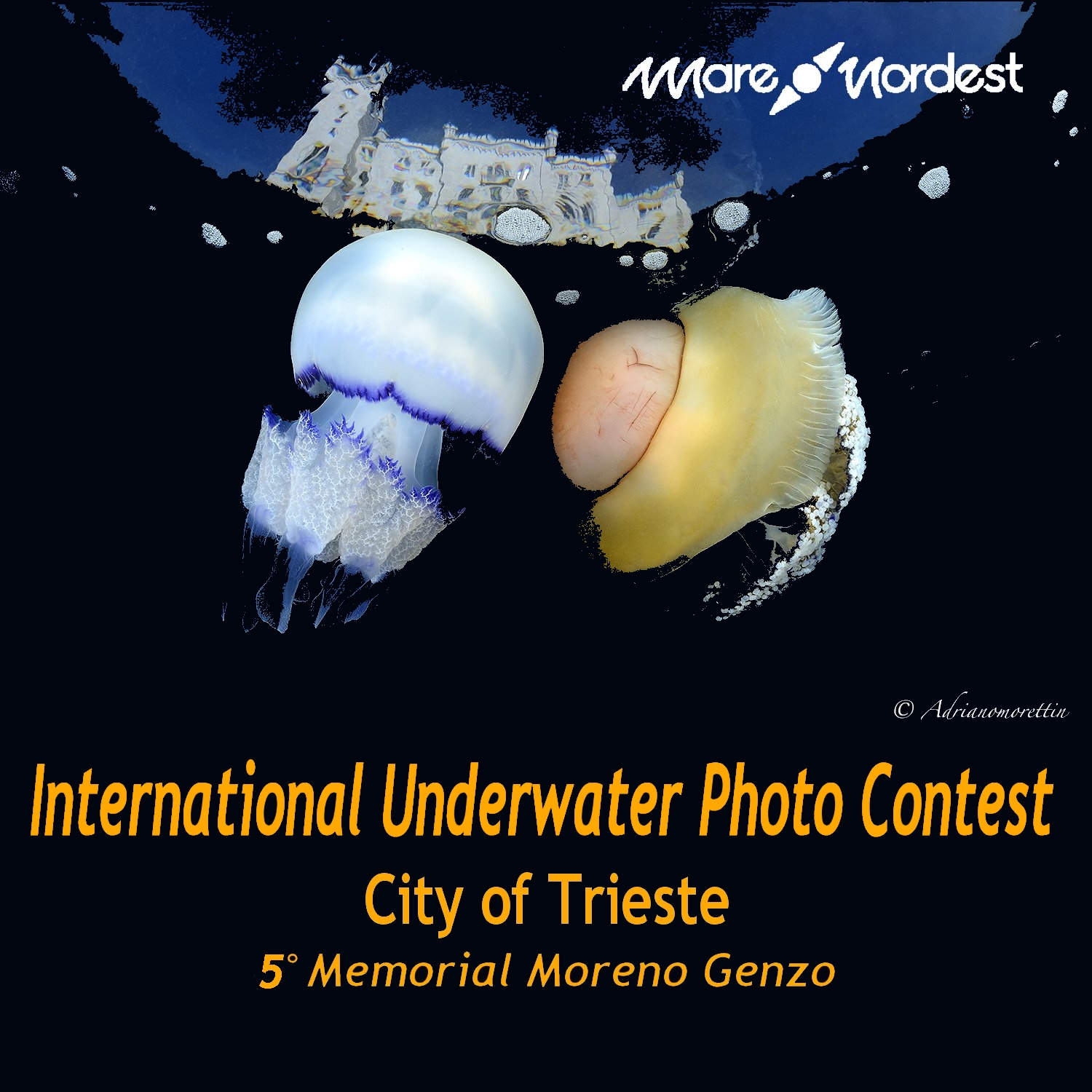 International Underwater Photo Contest