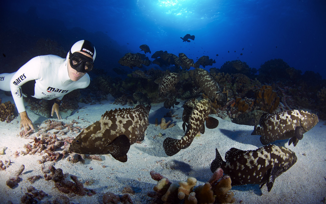 Gianluca Genoni: primatista mondiale di apnea profonda
