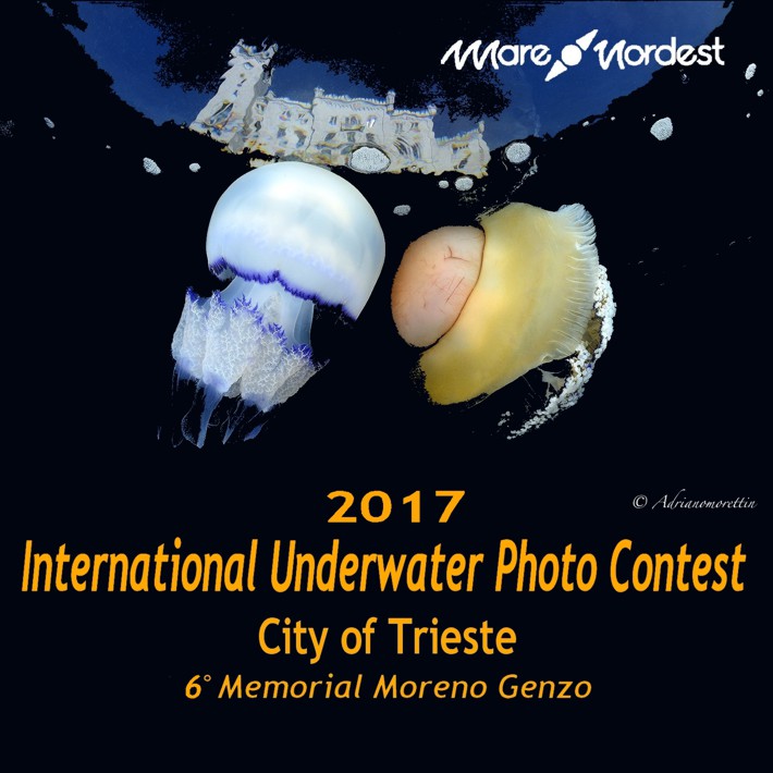 International Underwater Photo Contest