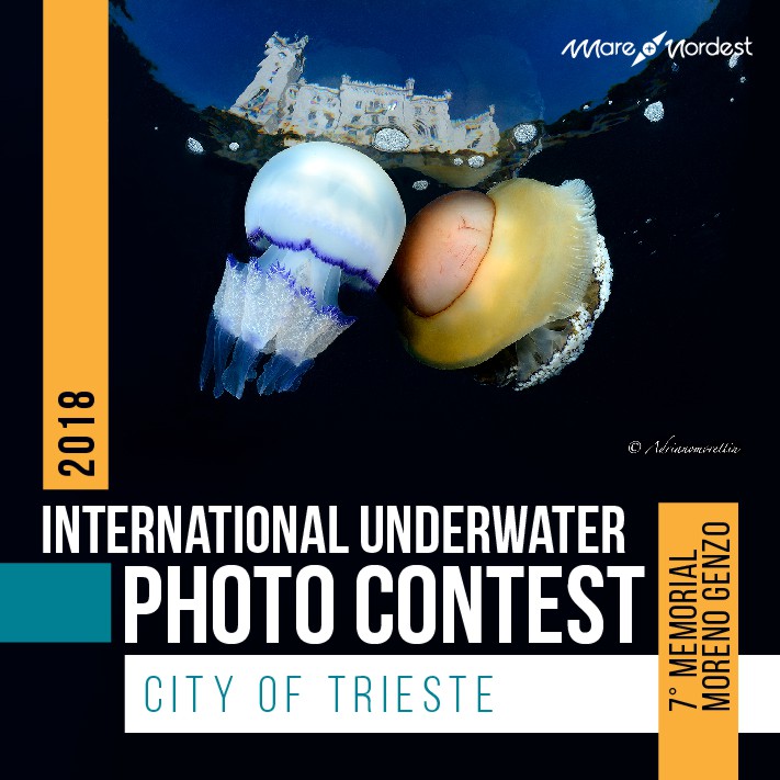 International Underwater Photo Contest City of Trieste 2018