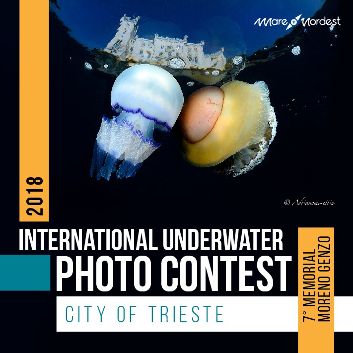 International Underwater Photo Contest