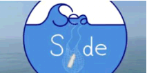 Sea Side