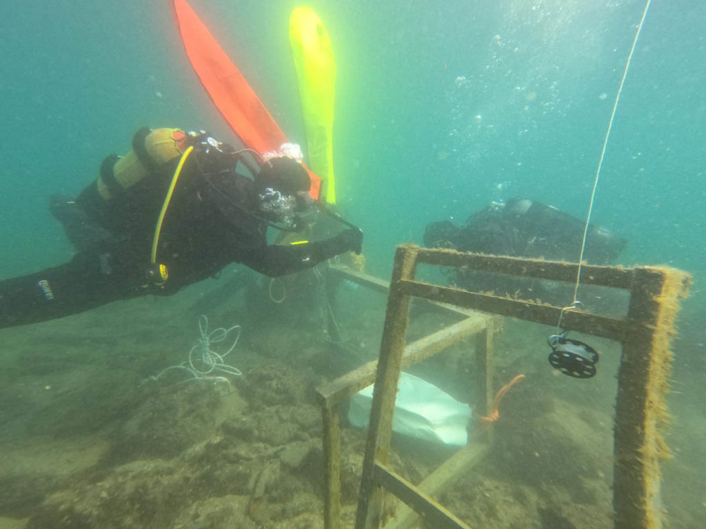 Raccolta materiale nei fondali adiacenti il Molo Audace - 2015