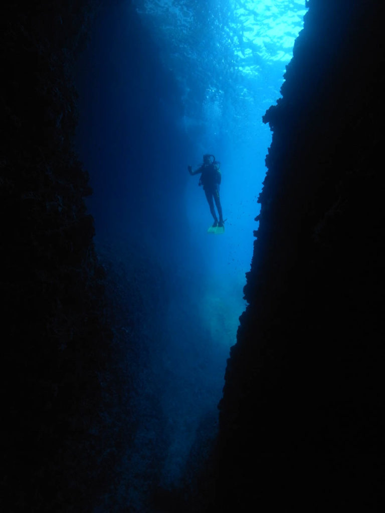 Immersione costa Dalmata (HR) 2018